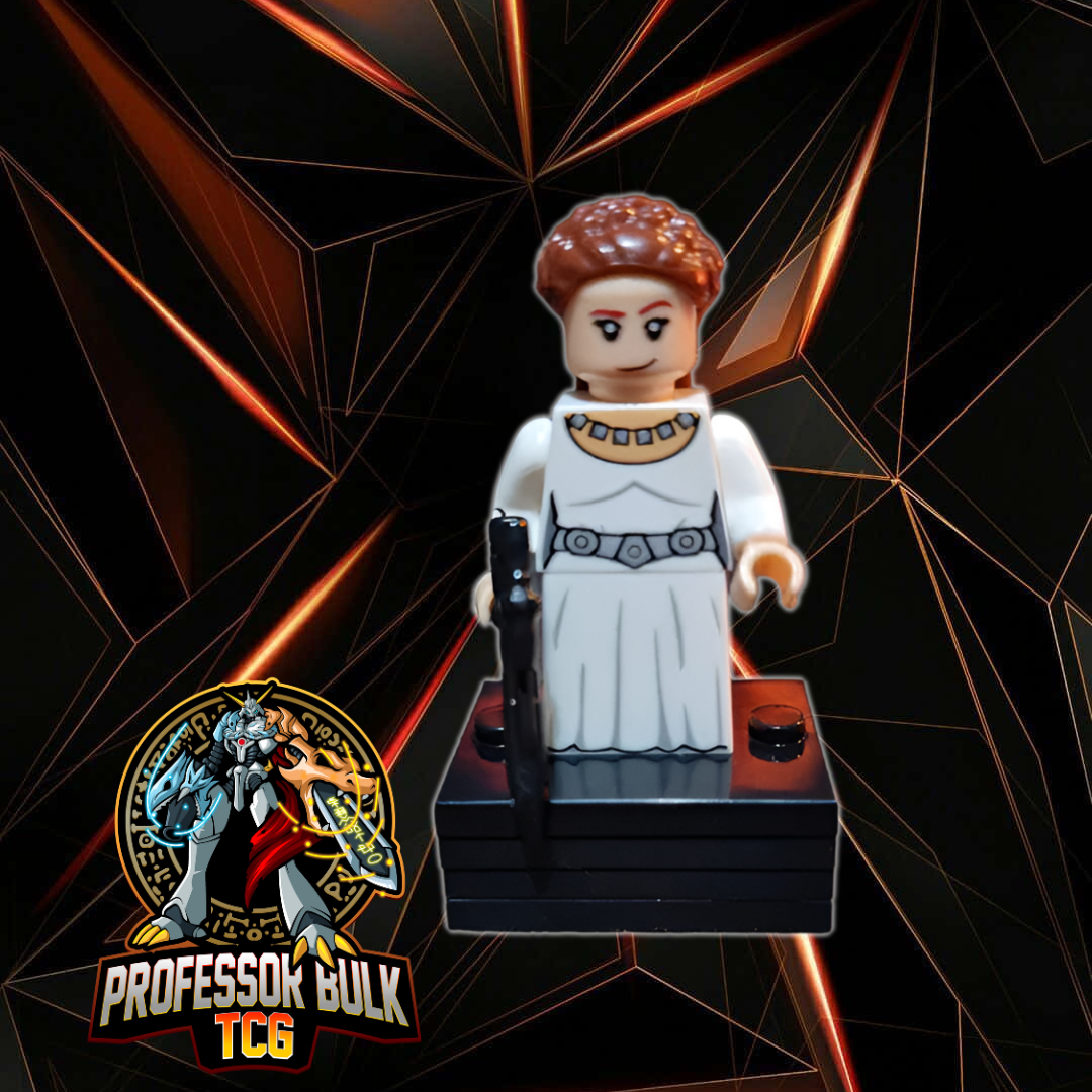 Princess Leia Custom Mini Figure